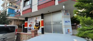 Kupe Street, 8, : foto