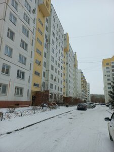 Омск, Улица Дмитриева, 1/4: фото