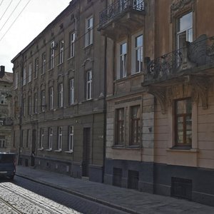 Vulytsia Dmytra Vitovskoho, 7, Lviv: photo