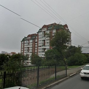 Владивосток, Московская улица, 1: фото