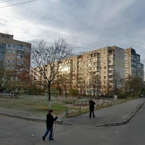 Pryrichna Street, 29, Kyiv: photo