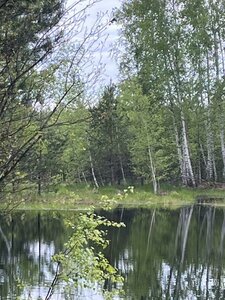 Ulitsa Poryadok, 75А, Ryazan: photo