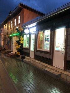 Savelicha Street, 1А, Kolomna: photo