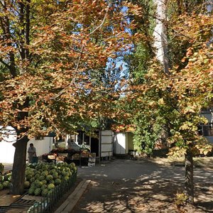 Vulytsia 50-richchia SRSR, 101, Donetsk: photo