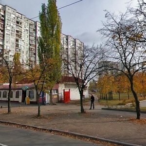 Pavla Tychyny Avenue, No:20Б, Kiev: Fotoğraflar