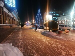 Омск, Улица Маршала Жукова, 4/1: фото