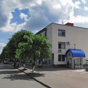 Mykhailivs'ka Street, 21, Zhytomyr: photo