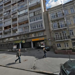 Volodymyrska Street, 73, Kyiv: photo