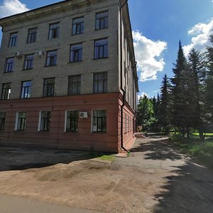 Ulitsa Shishkanya, 2, Vsevolgsk: photo