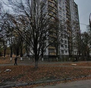 Henerala Naumova Street, 33, Kyiv: photo