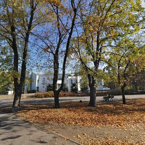 Vulytsia Bohdana Khmelnytskoho, 4, Zaporizhia: photo