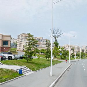 Campus of the Far Eastern Federal University, к2 ، إقليم بريمورسكي كراي: صورة