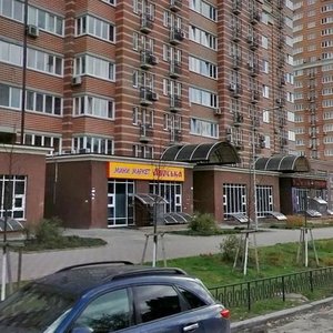 Holosiivska Street, 13, : foto