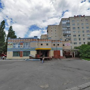 Pilotska vulytsia, 117, Khmelnytskyi: photo