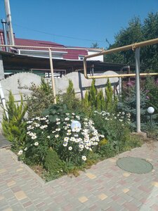 Pervomaiska vulytsia, 1А, : foto