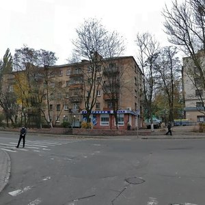 Bohdanivska Street, 1, Kyiv: photo