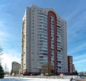 Санкт‑Петербург, Проспект Косыгина, 17к1: фото