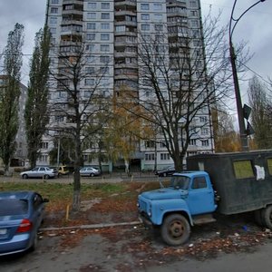 Lesia Kurbasa Avenue, 13А, Kyiv: photo