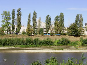 Studentska naberezhna, 8, Uzhhorod: photo