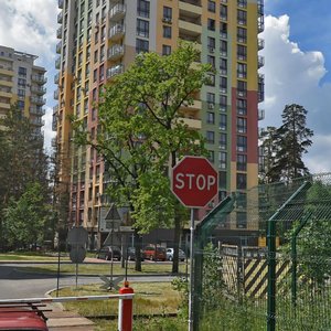 Киев, Улица Анатолия Петрицкого, 13: фото