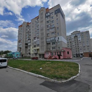 Vulytsia Rodiona Skaletskoho, 38А, Vinnytsia: photo