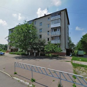 Volodymyrska vulytsia, 109, Lutsk: photo