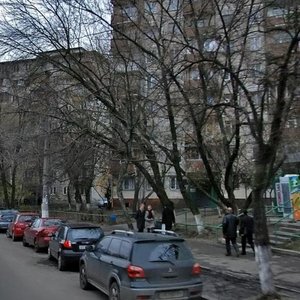 Bohdana Havrylyshyna Street, 5, Kyiv: photo