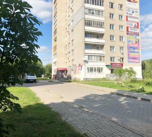Ulitsa Lenina, 163, Bor: photo