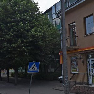 Horodotska vulytsia, 215Б, Lviv: photo