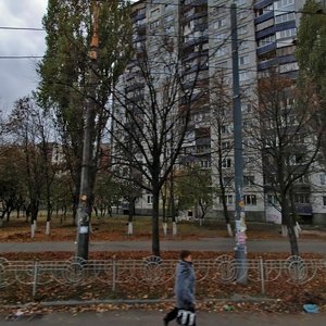 Marshala Yakubovskoho Street, 9, Kyiv: photo