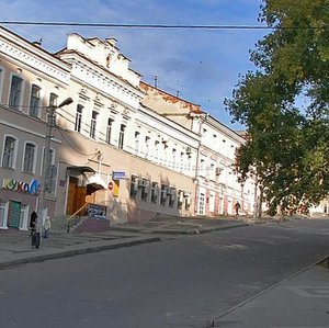 Radishcheva Street, 2, Kursk: photo