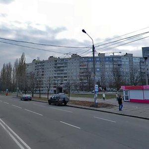 Vasylia Poryka Street, 15, Kyiv: photo