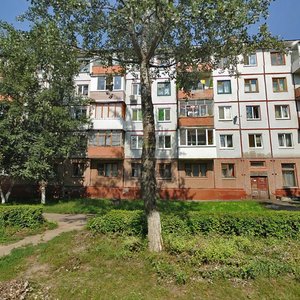 Ulitsa Dimitrova, 120, Bryansk: photo
