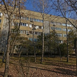 Universitetskaya Street, 37, : foto