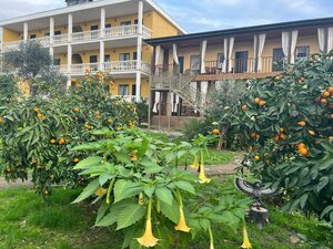 Sukhumskoye shosse, 138, Gudauta District: photo