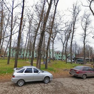 Glinki Street, 7, Tula: photo