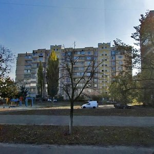Onore De Balzaka Street, 40, Kyiv: photo