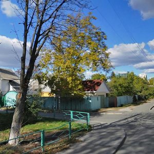 Vulytsia Lesi Ukrainky, 21 ، : صورة