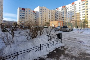 Dachniy Avenue, 4к2 ، سان بطرسبرغ: صورة