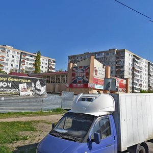 Старый Оскол, Микрорайон Лесной, 23: фото