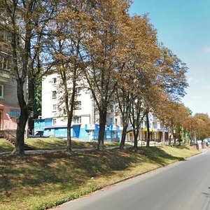 Vulytsia Druzhby, 3, Ternopil: photo