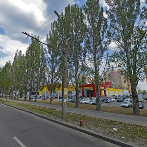 Shishkova Street, 72, Voronezh: photo