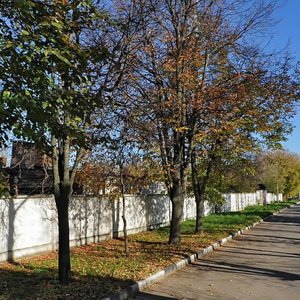 Звенигород, Улица Некрасова, 28с1: фото