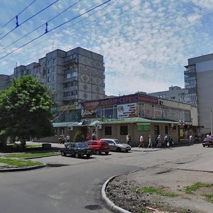 Lesi Ukrainky avenue, 66А, Kremenchuk: photo