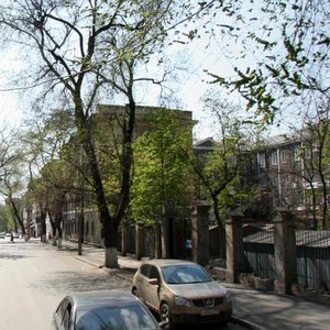 Serafimovicha Street, 37 ، روستوف نا دونو: صورة