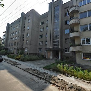 Vulytsia Nekrasova, 10, Lviv: photo