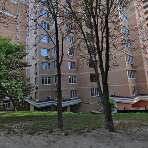 Киев, Улица Василия Тютюнника, 5В: фото