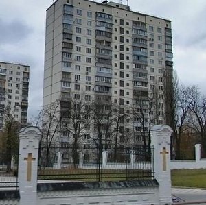 Patriarkha Mstyslava Skrypnyka Street, 13, Kyiv: photo