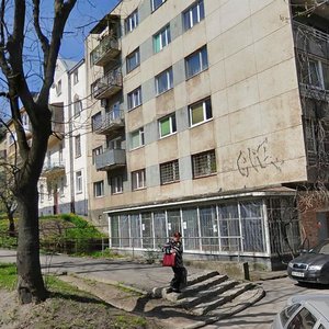 Львов, Улица Дзындры, 1А: фото