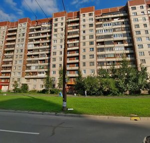 Gakkelevskaya Street, 25к1, Saint Petersburg: photo